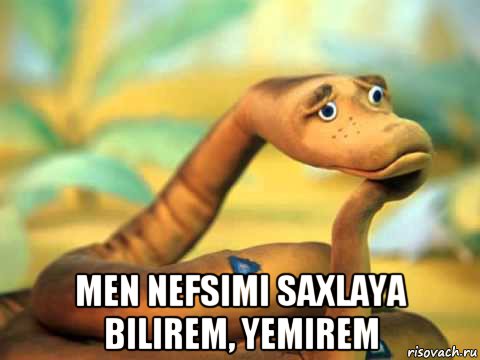  men nefsimi saxlaya bilirem, yemirem