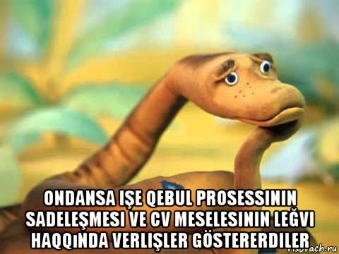  ondansa işe qebul prosessinin sadeleşmesi ve cv meselesinin leğvi haqqında verlişler göstererdiler, Мем  задумчивый удав