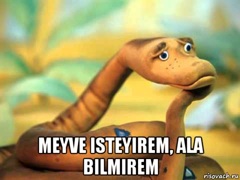  meyve isteyirem, ala bilmirem