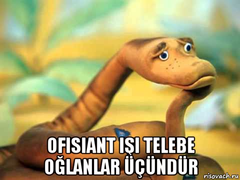  ofisiant işi telebe oğlanlar üçündür, Мем  задумчивый удав