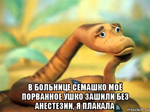  в больнице семашко моё порванное ушко зашили без анестезии, я плакала, Мем  задумчивый удав