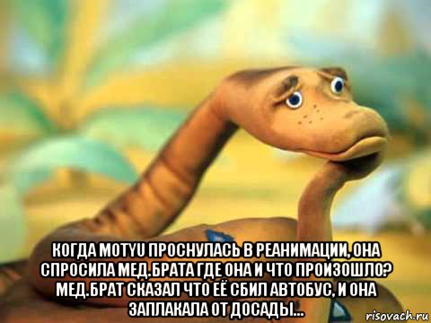  когда motyu проснулась в реанимации, она спросила мед.брата где она и что произошло? мед.брат сказал что её сбил автобус, и она заплакала от досады..., Мем  задумчивый удав