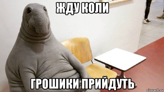 жду коли грошики прийдуть