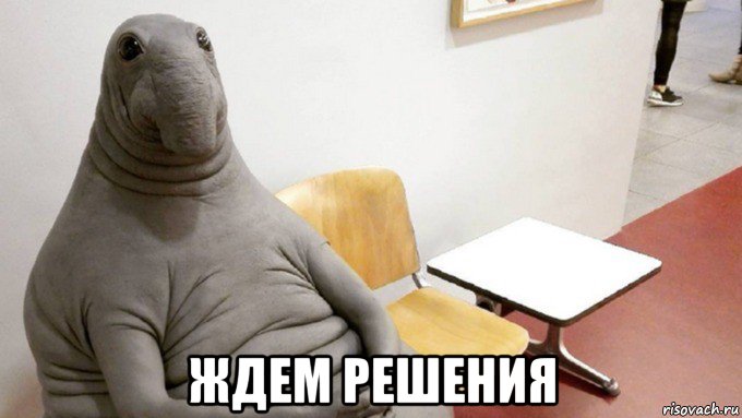  ждем решения