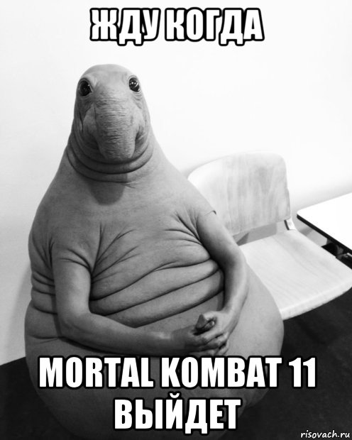 жду когда mortal kombat 11 выйдет, Мем  Ждун