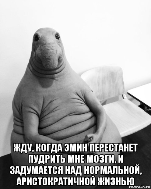  жду, когда эмин перестанет пудрить мне мозги, и задумается над нормальной, аристократичной жизнью, Мем  Ждун