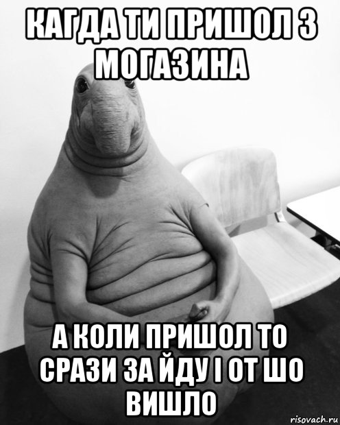 кагда ти пришол з могазина а коли пришол то срази за йду і от шо вишло, Мем  Ждун