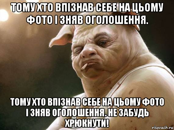 тому хто впізнав себе на цьому фото і зняв оголошення. тому хто впізнав себе на цьому фото і зняв оголошення. не забудь хрюкнути!