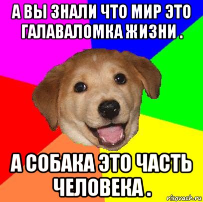 а вы знали что мир это галаваломка жизни . а собака это часть человека ., Мем Advice Dog