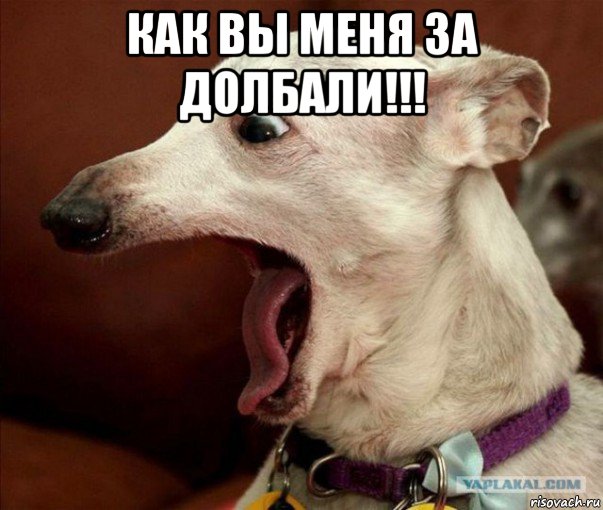 как вы меня за долбали!!! , Мем Ах ты ж хитрая жопа