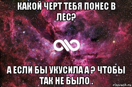 какой черт тебя понес в лес? а если бы укусила а ? чтобы так не было ., Мем офигенно