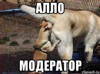 алло модератор