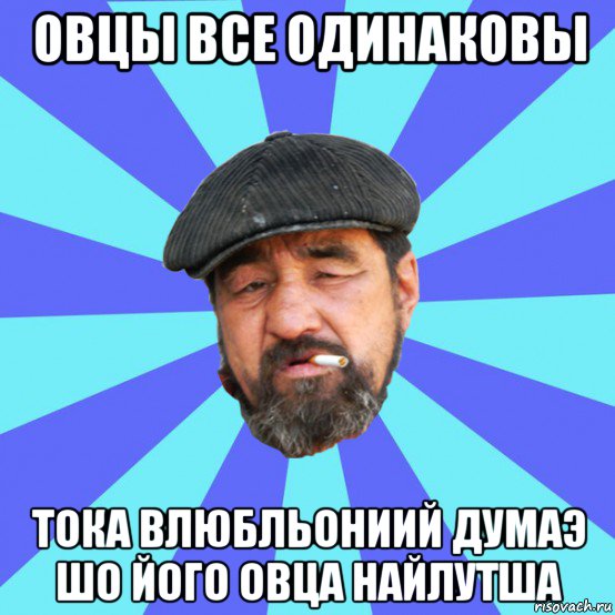 овцы все одинаковы тока влюбльониий думаэ шо його овца найлутша