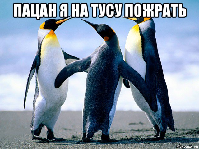 пацан я на тусу пожрать 