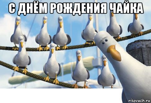 с днём рождения чайка 