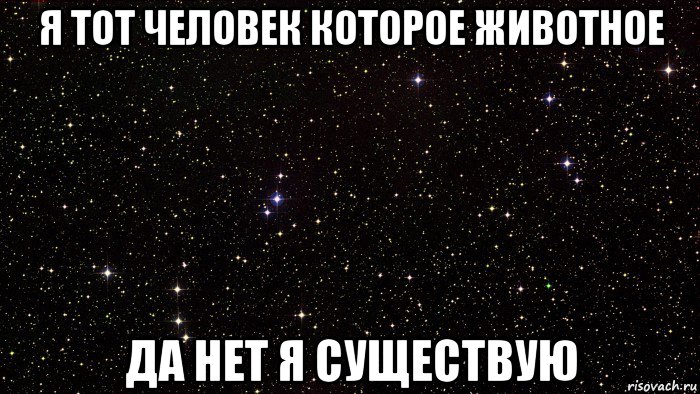 я тот человек которое животное да нет я существую