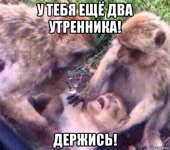 у тебя ещё два утренника! держись!