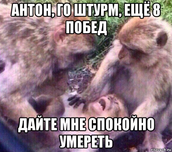 антон, го штурм, ещё 8 побед дайте мне спокойно умереть