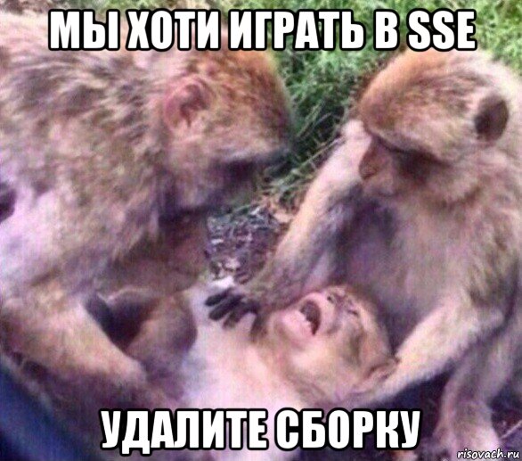 мы хоти играть в sse удалите сборку