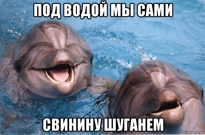 под водой мы сами свинину шуганем