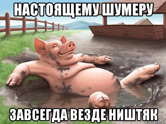 настоящему шумеру завсегда везде ништяк