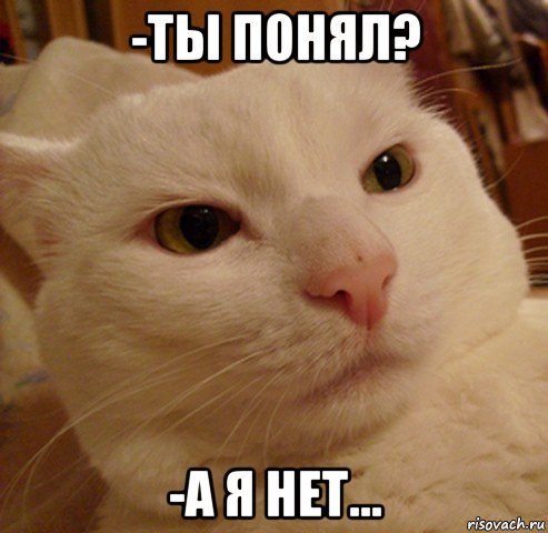 -ты понял? -а я нет...