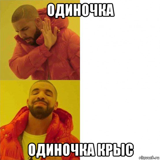одиночка одиночка крыс