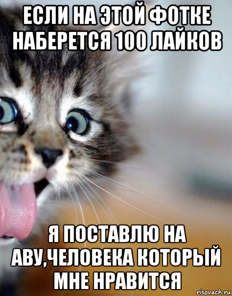 если на этой фотке наберется 100 лайков я поставлю на аву,человека который мне нравится