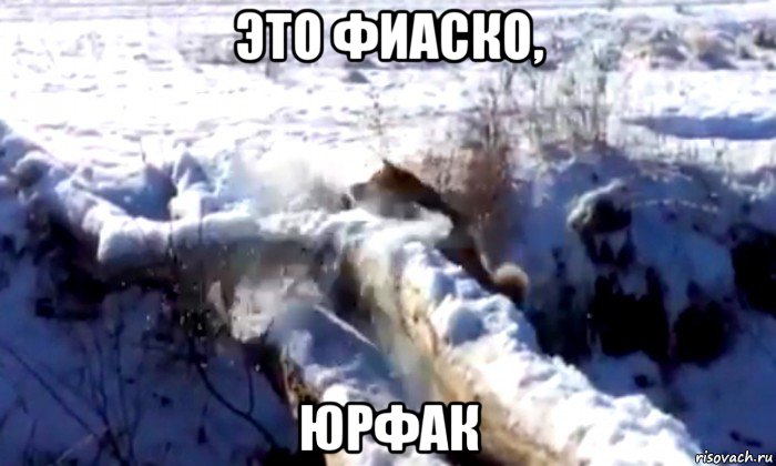 это фиаско, юрфак