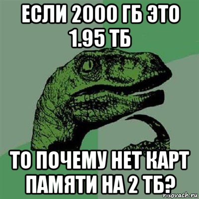 если 2000 гб это 1.95 тб то почему нет карт памяти на 2 тб?, Мем Филосораптор