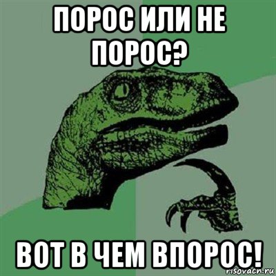 порос или не порос? вот в чем впорос!, Мем Филосораптор