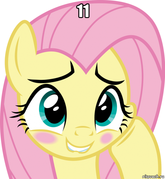 11 