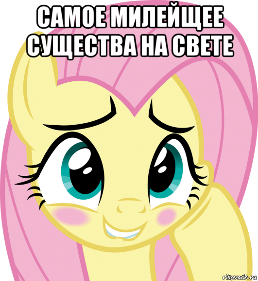 самое милейщее существа на свете 