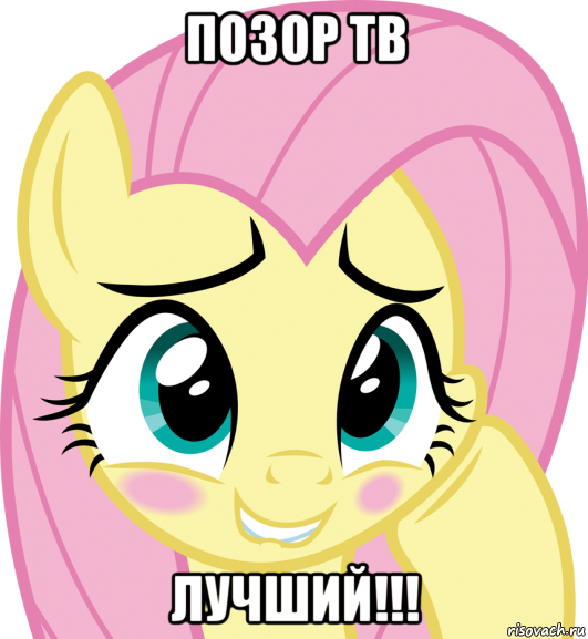 позор тв лучший!!!
