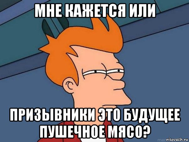 мне кажется или призывники это будущее пушечное мясо?, Мем  Фрай (мне кажется или)