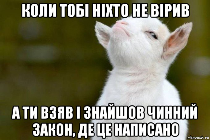 коли тобі ніхто не вірив а ти взяв і знайшов чинний закон, де це написано, Мем  Гордый козленок