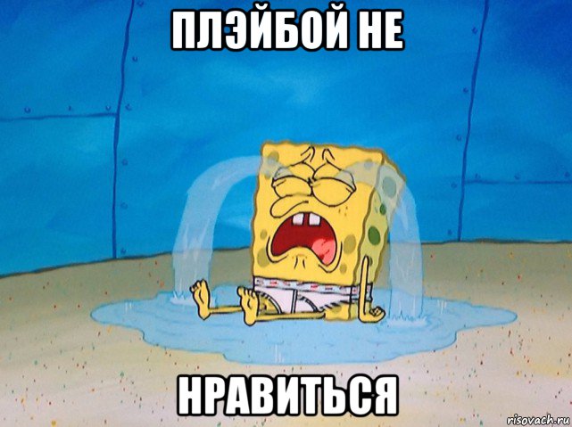 плэйбой не нравиться, Мем Губка боб плачет