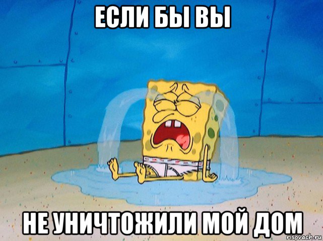 если бы вы не уничтожили мой дом, Мем Губка боб плачет