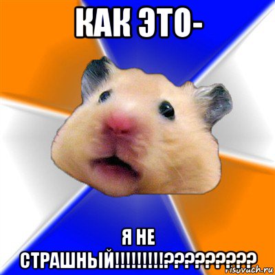 как это- я не страшный!!!!!!!!!?????????, Мем Хомяк