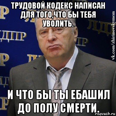 трудовой кодекс написан для того,что бы тебя уволить. и что бы ты ебашил до полу смерти., Мем Хватит это терпеть (Жириновский)