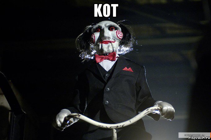 kot 