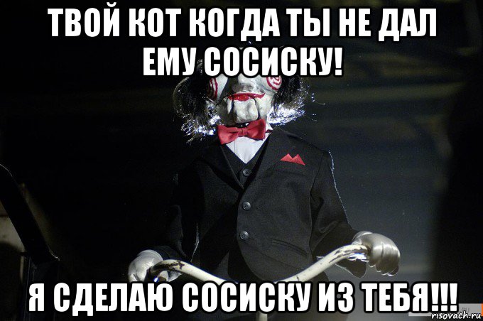твой кот когда ты не дал ему сосиску! я сделаю сосиску из тебя!!!