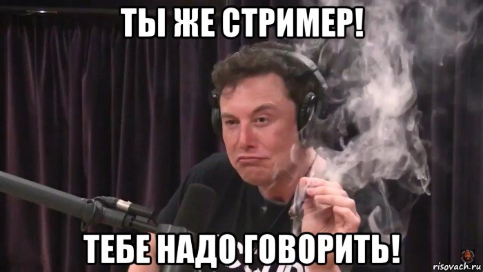 ты же стример! тебе надо говорить!, Мем Илон Маск