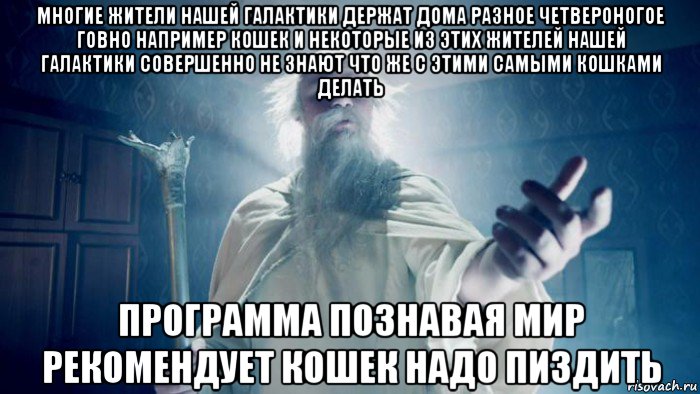 многие жители нашей галактики держат дома разное четвероногое говно например кошек и некоторые из этих жителей нашей галактики совершенно не знают что же с этими самыми кошками делать программа познавая мир рекомендует кошек надо пиздить