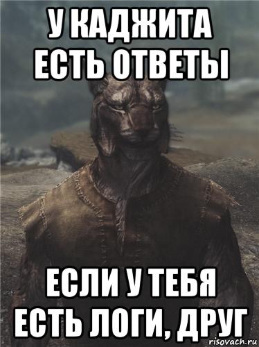 у каджита есть ответы если у тебя есть логи, друг, Мем Каджит