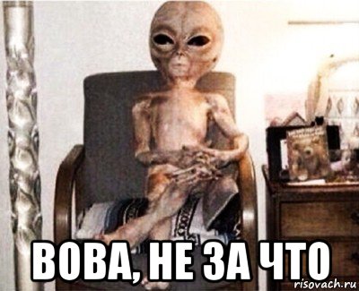  вова, не за что