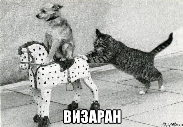  визаран