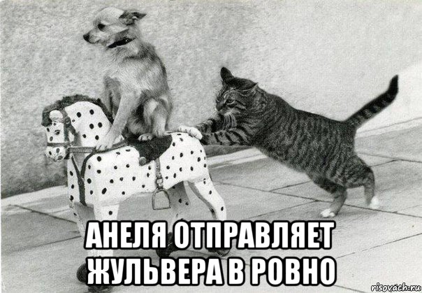  анеля отправляет жульвера в ровно