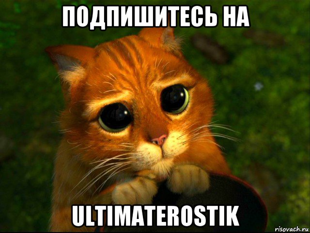 подпишитесь на ultimaterostik, Мем кот из шрека