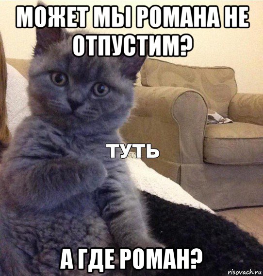 может мы романа не отпустим? а где роман?, Мем Котик - Туть